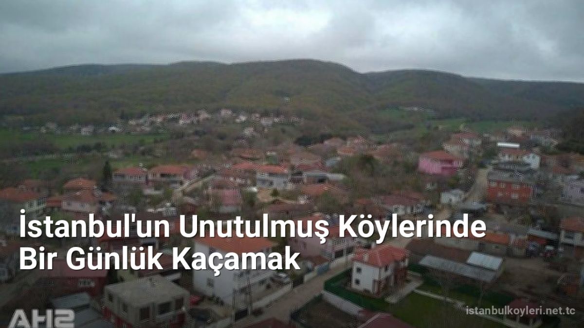 İstanbul'un Unutulmuş Köylerinde Bir Günlük Kaçamak - istanbulkoyleri.net.tc