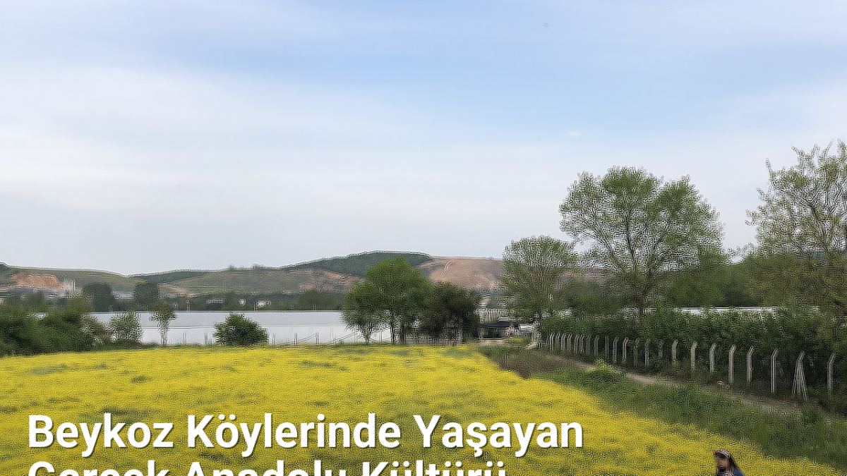 Beykoz Köylerinde Yaşayan Gerçek Anadolu Kültürü - istanbulkoyleri.net.tc